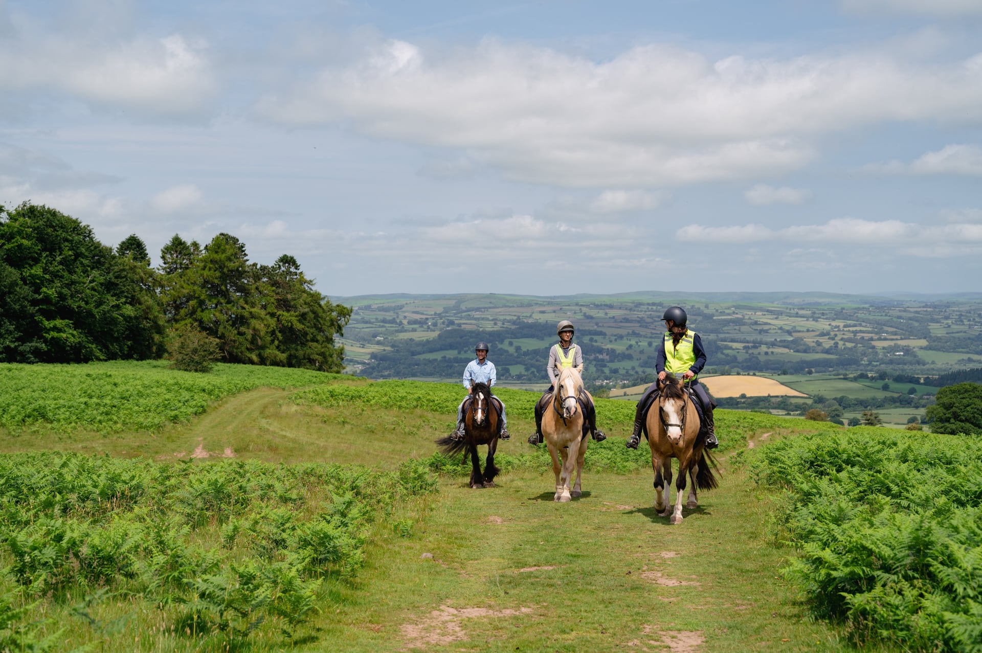 Three riders on horseback cross a grassy Welsh hillside with views across the valley